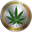 cannabiscoin