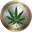 Cannabiscoin