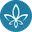 florincoin